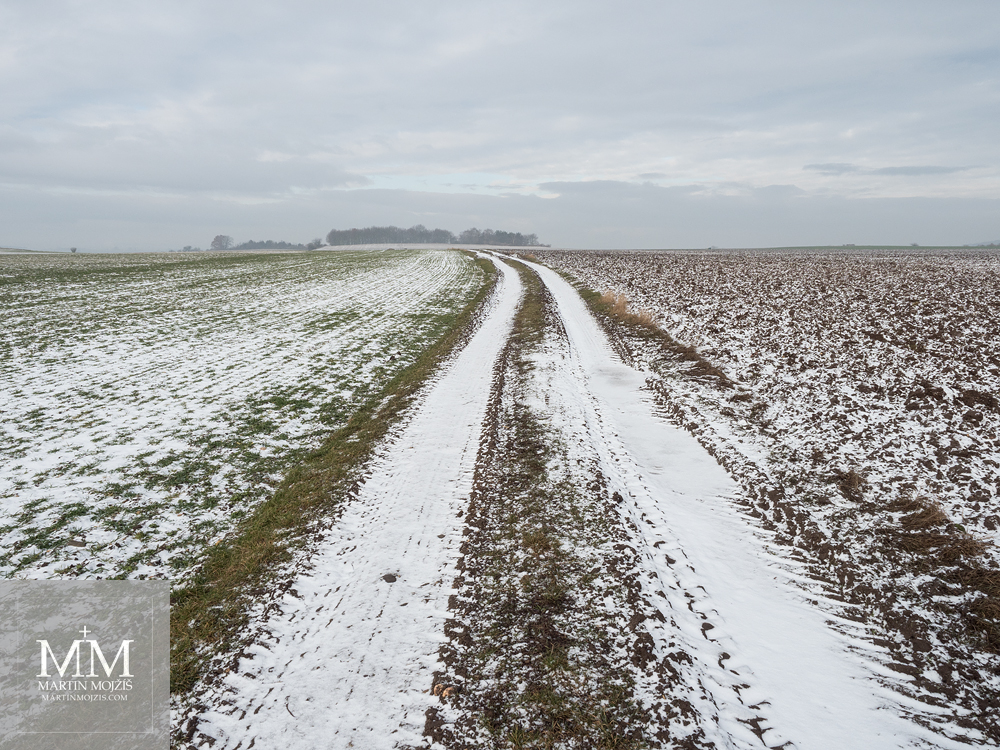 Snowy dirt road. Photograph created with Olympus 12 - 40 mm 2.8 Pro lens.